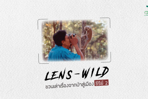 LENS-WILD ชวนเล่าเรื่องจากป่าสู่เมือง ซีรีย์ 2