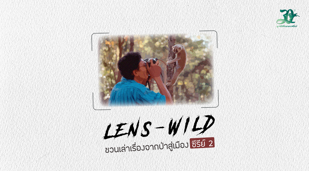 LENS-WILD ชวนเล่าเรื่องจากป่าสู่เมือง ซีรีย์ 2