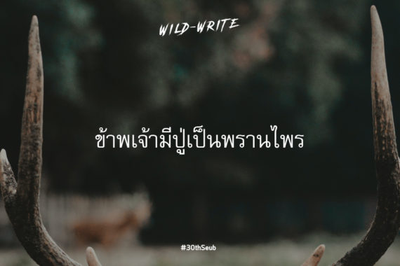 WILD-WRITE : ข้าพเจ้ามีปู่เป็นพรานไพร