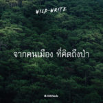 WILD-WRITE : จากคนเมือง ที่คิดถึงป่า