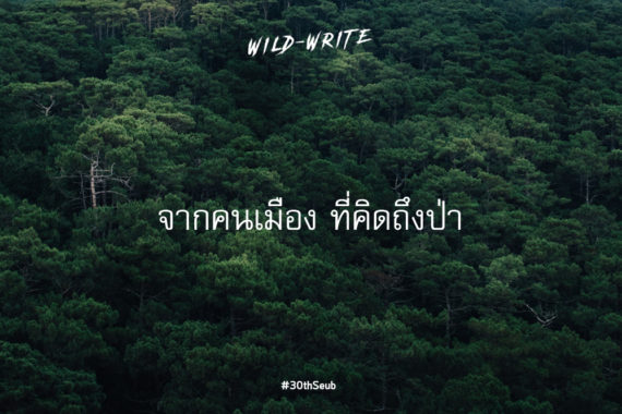WILD-WRITE : จากคนเมือง ที่คิดถึงป่า