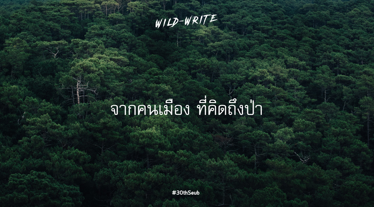 WILD-WRITE : จากคนเมือง ที่คิดถึงป่า