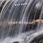 WILD-WRITE : ธรรมชาติร่ายมนตร์