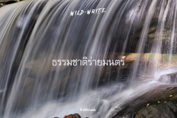 WILD-WRITE : ธรรมชาติร่ายมนตร์