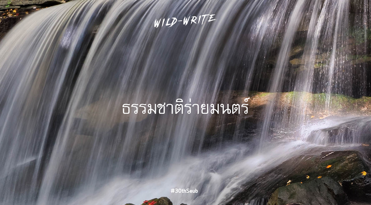 WILD-WRITE : ธรรมชาติร่ายมนตร์