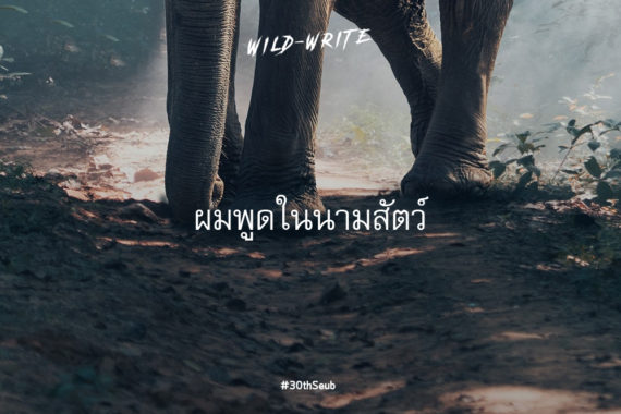 WILD-WRITE : ผมพูดในนามสัตว์