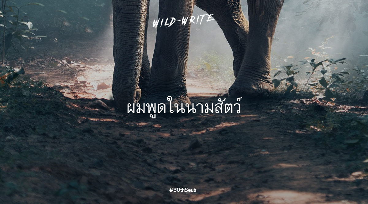 WILD-WRITE : ผมพูดในนามสัตว์