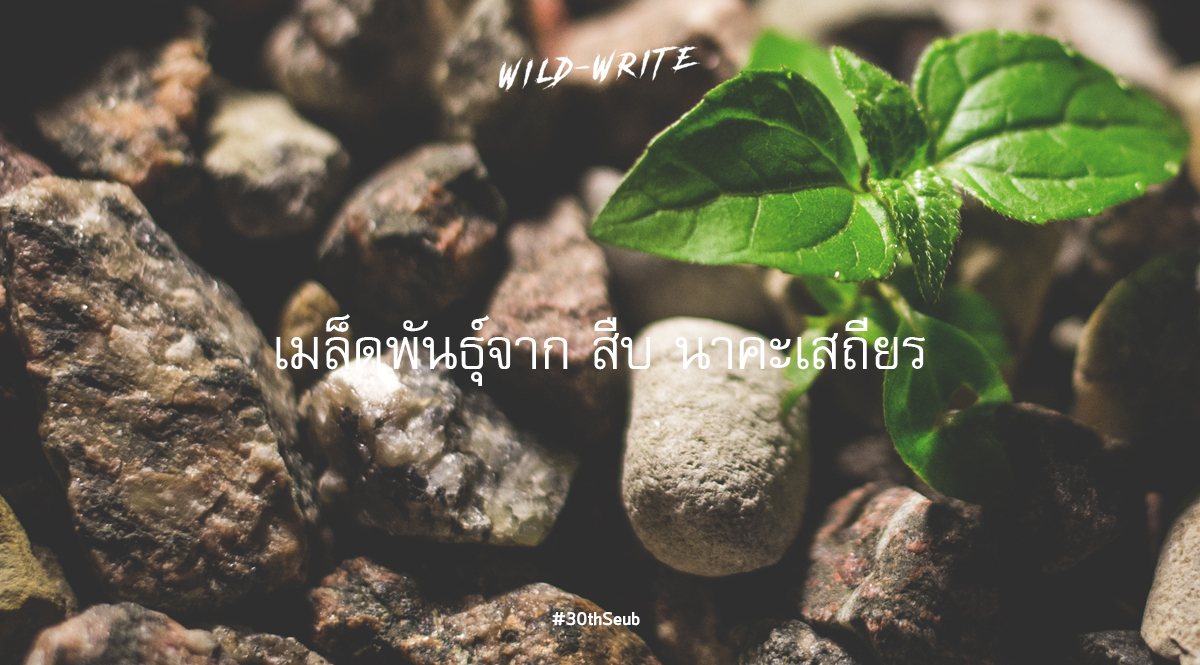 WILD-WRITE : เมล็ดพันธุ์จาก สืบ นาคะเสถียร