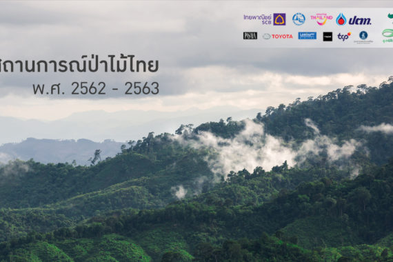 รายงานสถานการณ์ป่าไม้ไทย ประจำปี 2562 – 2563