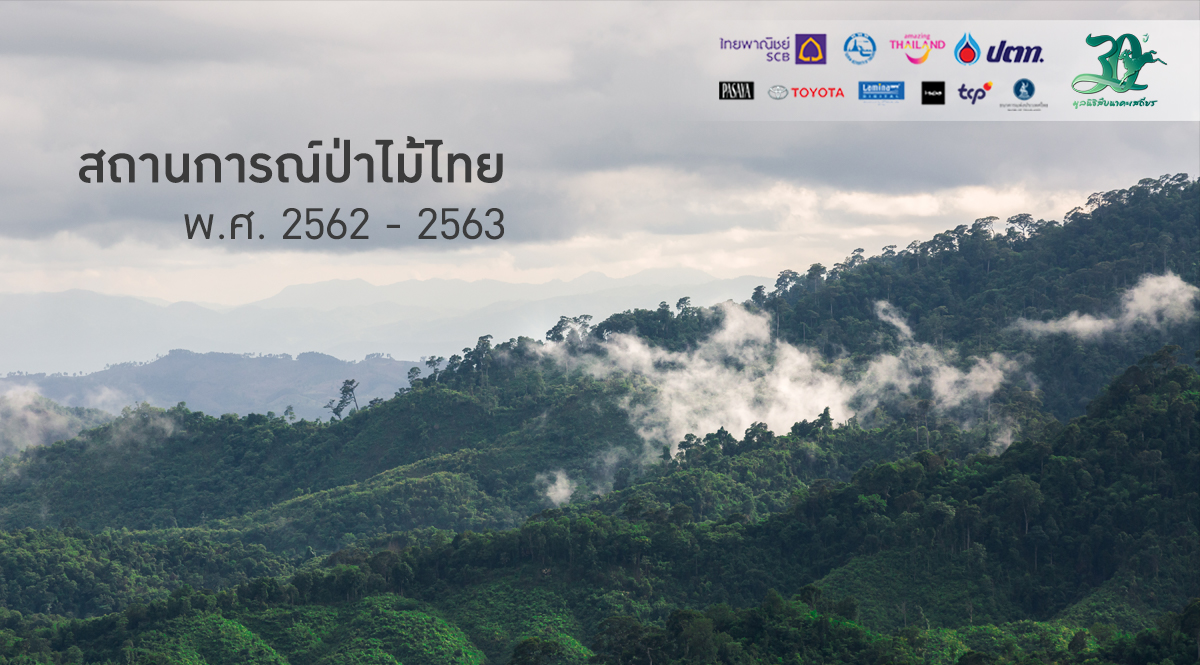 รายงานสถานการณ์ป่าไม้ไทย ประจำปี 2562 – 2563