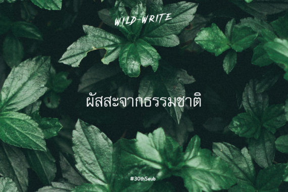 WILD-WRITE : ผัสสะจากธรรมชาติ