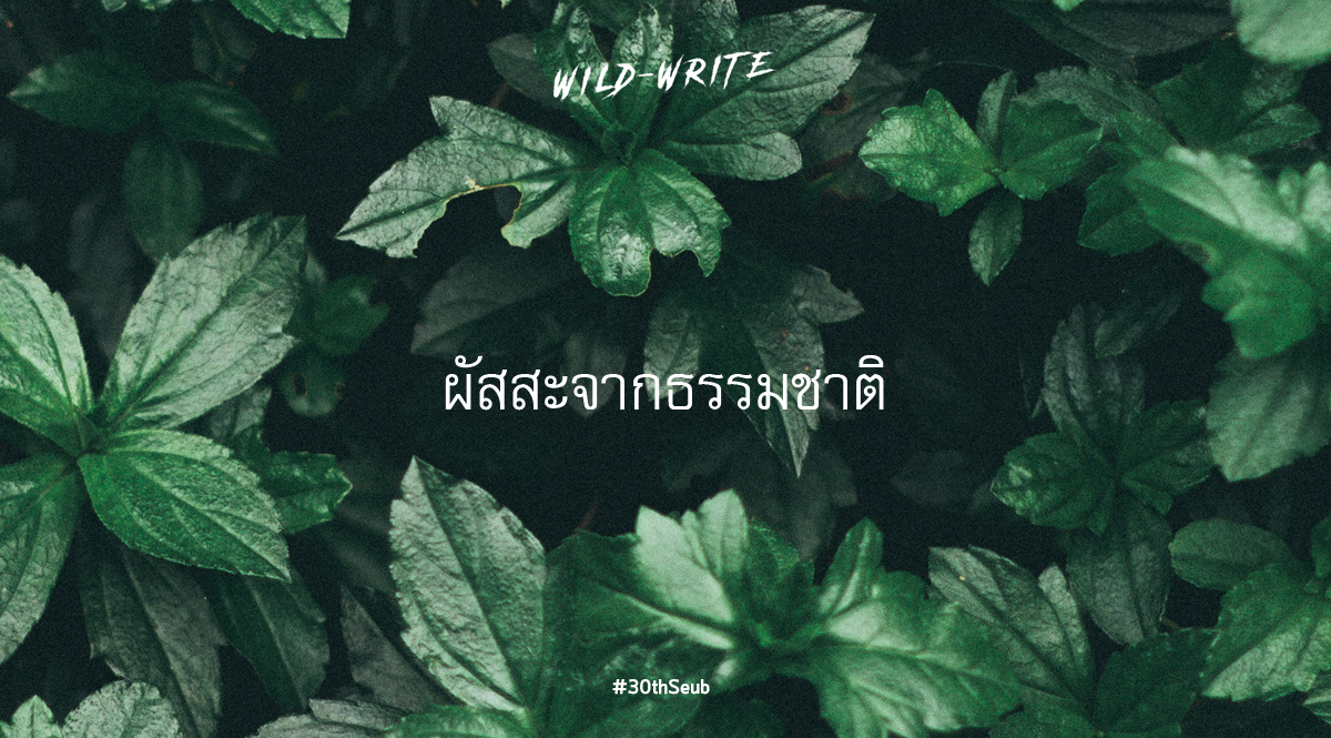 WILD-WRITE : ผัสสะจากธรรมชาติ