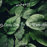 WILD-WRITE : จาก Grey Owl ถึง สืบ นาคะเสถียร