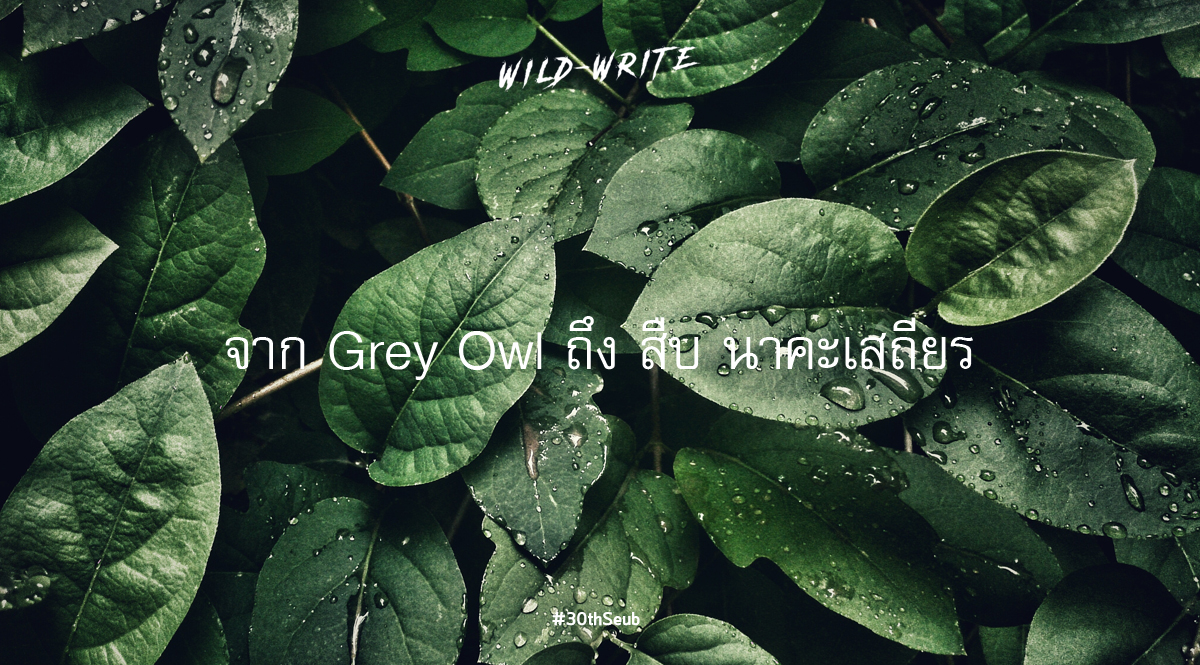WILD-WRITE : จาก Grey Owl ถึง สืบ นาคะเสถียร