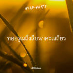 WILD-WRITE : ทออรุณถึง สืบ นาคะเสถียร