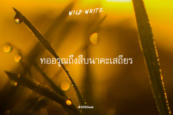 WILD-WRITE : ทออรุณถึง สืบ นาคะเสถียร