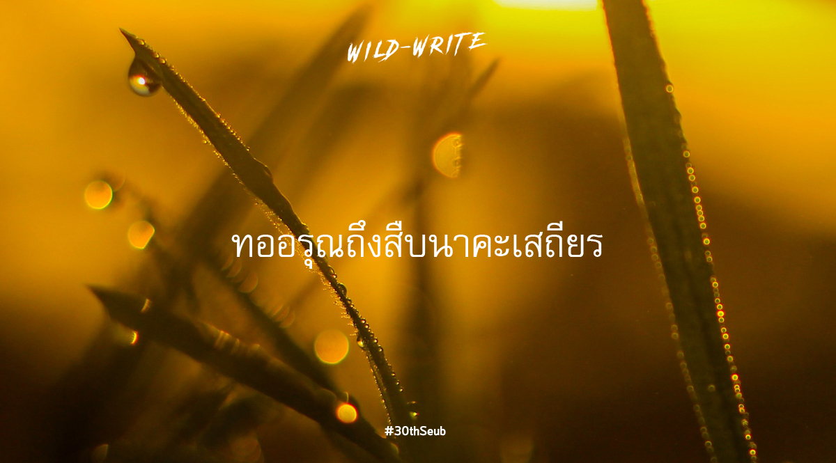 WILD-WRITE : ทออรุณถึง สืบ นาคะเสถียร