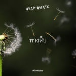 WILD-WRITE : ทางสืบ