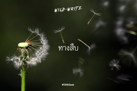 WILD-WRITE : ทางสืบ