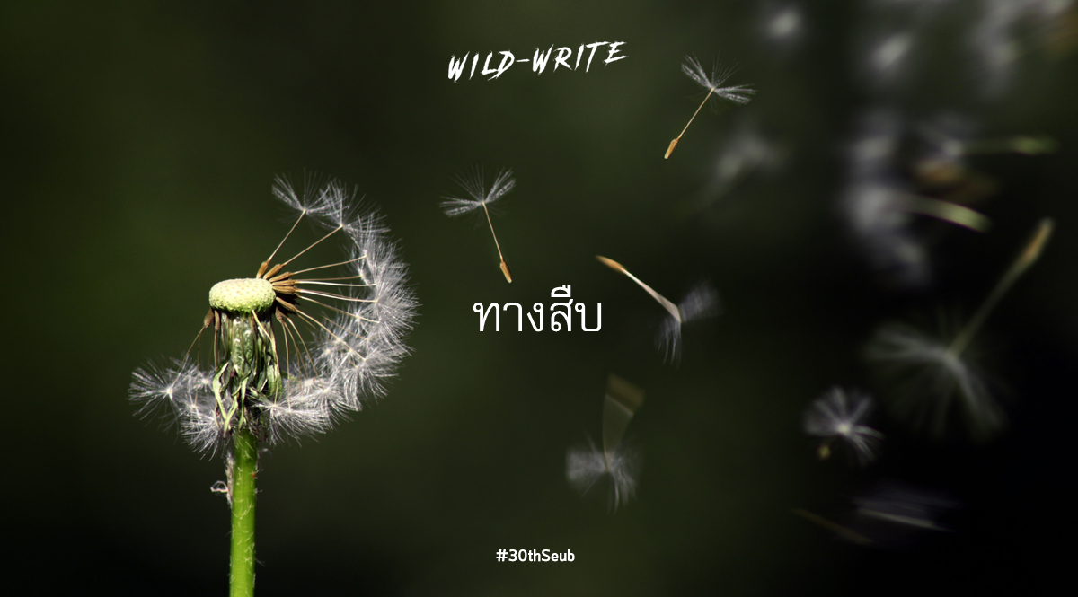 WILD-WRITE : ทางสืบ