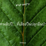 WILD-WRITE : สามสิบปี… ที่เสียงปืนปลุกผืนป่า