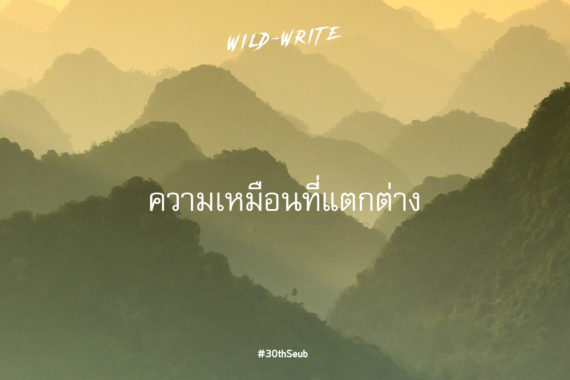 WILD-WRITE : ความเหมือนที่แตกต่าง