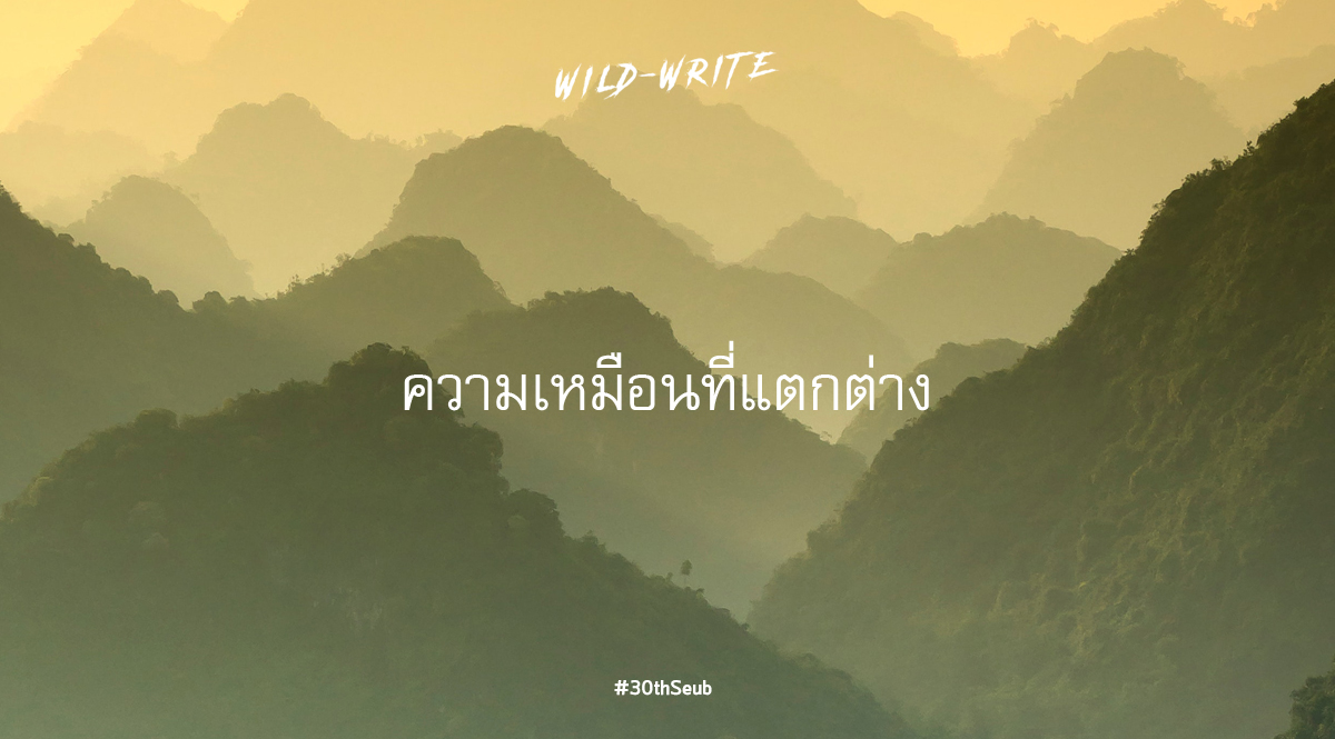 WILD-WRITE : ความเหมือนที่แตกต่าง