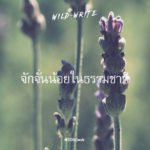 WILD-WRITE : จักจั่นน้อยในธรรมชาติ