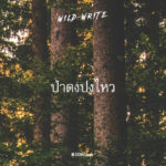 WILD-WRITE : ป่าดงปงไหว