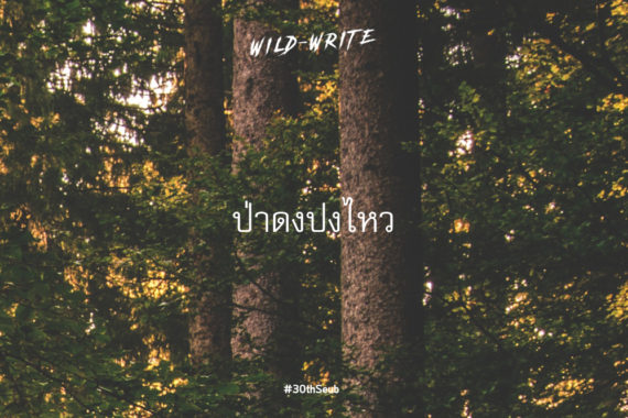 WILD-WRITE : ป่าดงปงไหว