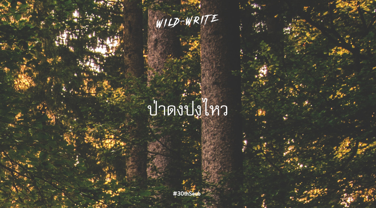 WILD-WRITE : ป่าดงปงไหว
