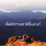 WILD-WRITE : สัมผัสธรรมชาติที่แม่วงก์