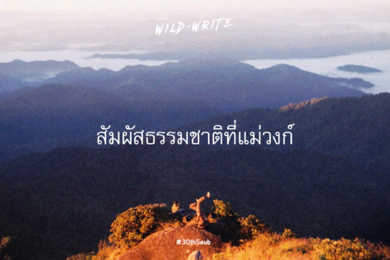 WILD-WRITE : สัมผัสธรรมชาติที่แม่วงก์