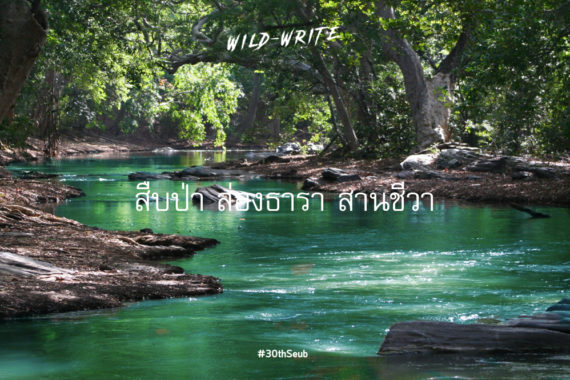 WILD-WRITE : สืบป่า ส่องธารา สานชีวา