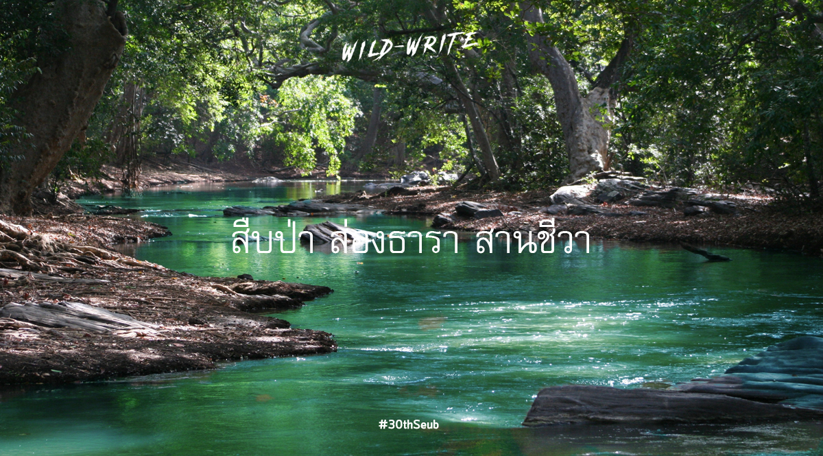 WILD-WRITE : สืบป่า ส่องธารา สานชีวา