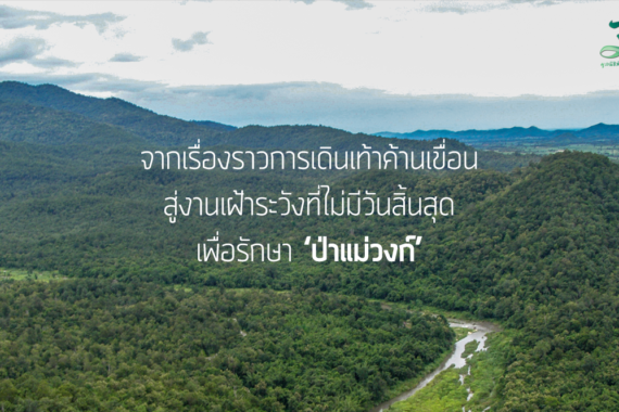 เรื่องราวการเดินค้านเขื่อนสู่งานเฝ้าระวังที่ไม่มีวันสิ้นสุด เพื่อรักษา ‘ป่าแม่วงก์’