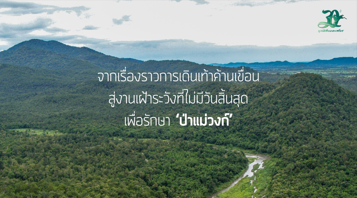 เรื่องราวการเดินค้านเขื่อนสู่งานเฝ้าระวังที่ไม่มีวันสิ้นสุด เพื่อรักษา ‘ป่าแม่วงก์’