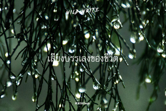 WILD-WRITE : เสียงบรรเลงของชีวิต