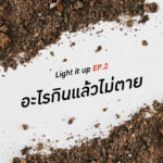 LIGHT IT UP EP 2 : อะไรกินแล้วไม่ตาย