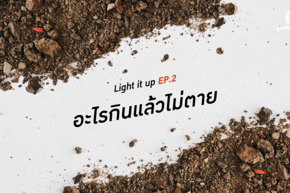 LIGHT IT UP EP 2 : อะไรกินแล้วไม่ตาย