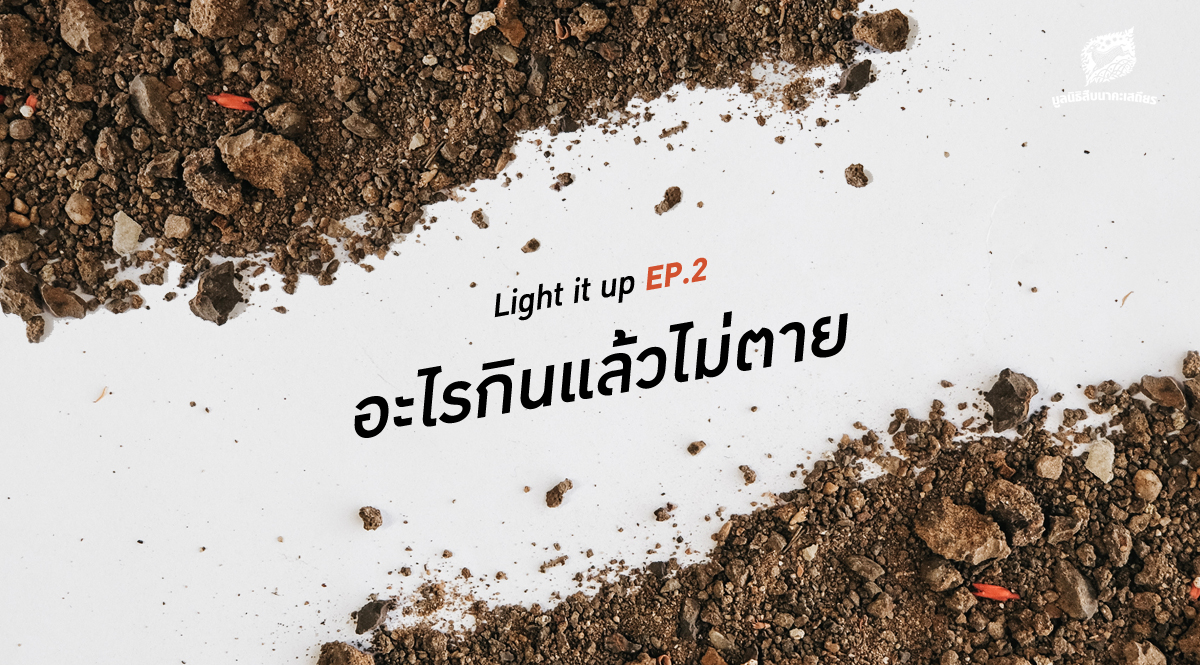 LIGHT IT UP EP 2 : อะไรกินแล้วไม่ตาย