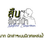 สืบสัตว์ป่า EP2 : นาก นักล่าระบบนิเวศแหล่งน้ำ