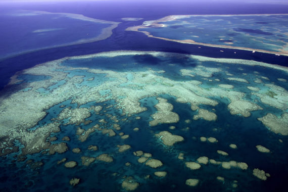 พบแนวปะการังที่สูงกว่าตึกเอมไพร์สเตตในเกรตแบร์ริเออร์รีฟ ประเทศออสเตรเลีย
