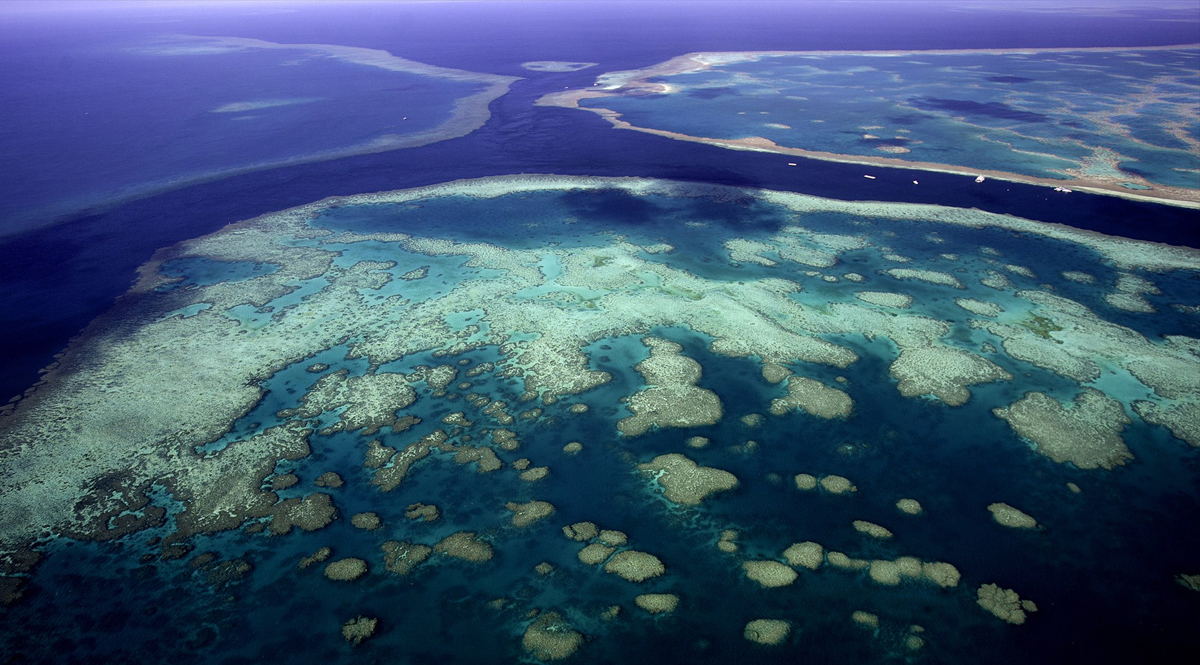 พบแนวปะการังที่สูงกว่าตึกเอมไพร์สเตตในเกรตแบร์ริเออร์รีฟ ประเทศออสเตรเลีย
