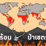 ผลกระทบของโลกร้อนต่อสายพันธุ์ป่าเขตร้อน