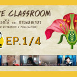 Nature Classroom Ep.1/4 ผ่าดอกไม้ และการผสมเกสร