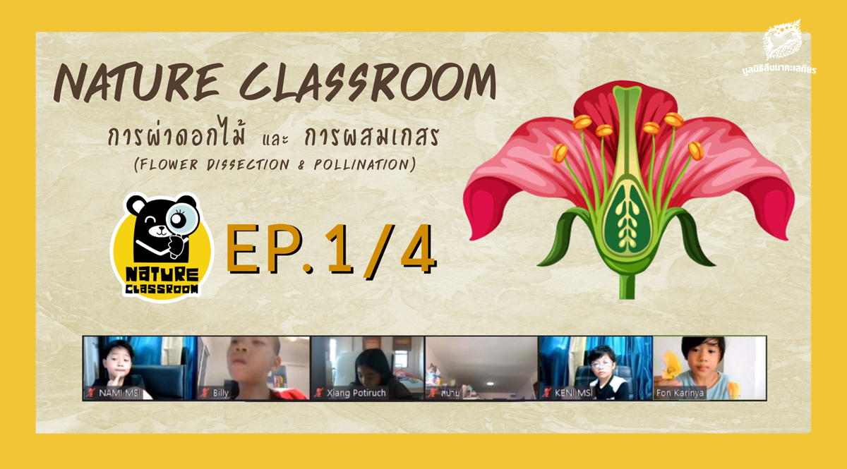 Nature Classroom Ep.1/4 ผ่าดอกไม้ และการผสมเกสร