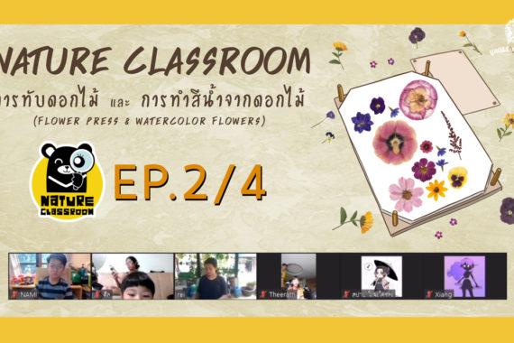 Nature Classroom EP.2/4 : ทับดอกไม้ และทำสีน้ำดอกไม้