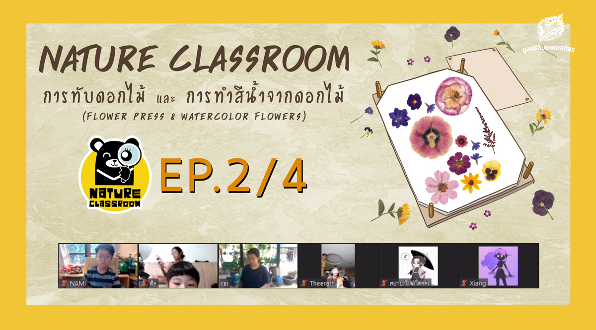 Nature Classroom EP.2/4 : ทับดอกไม้ และทำสีน้ำดอกไม้