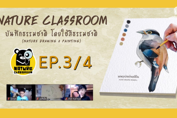 Nature Classroom EP.3/4 : บันทึกธรรมชาติ โดยใช้สีน้ำจากธรรมชาติ